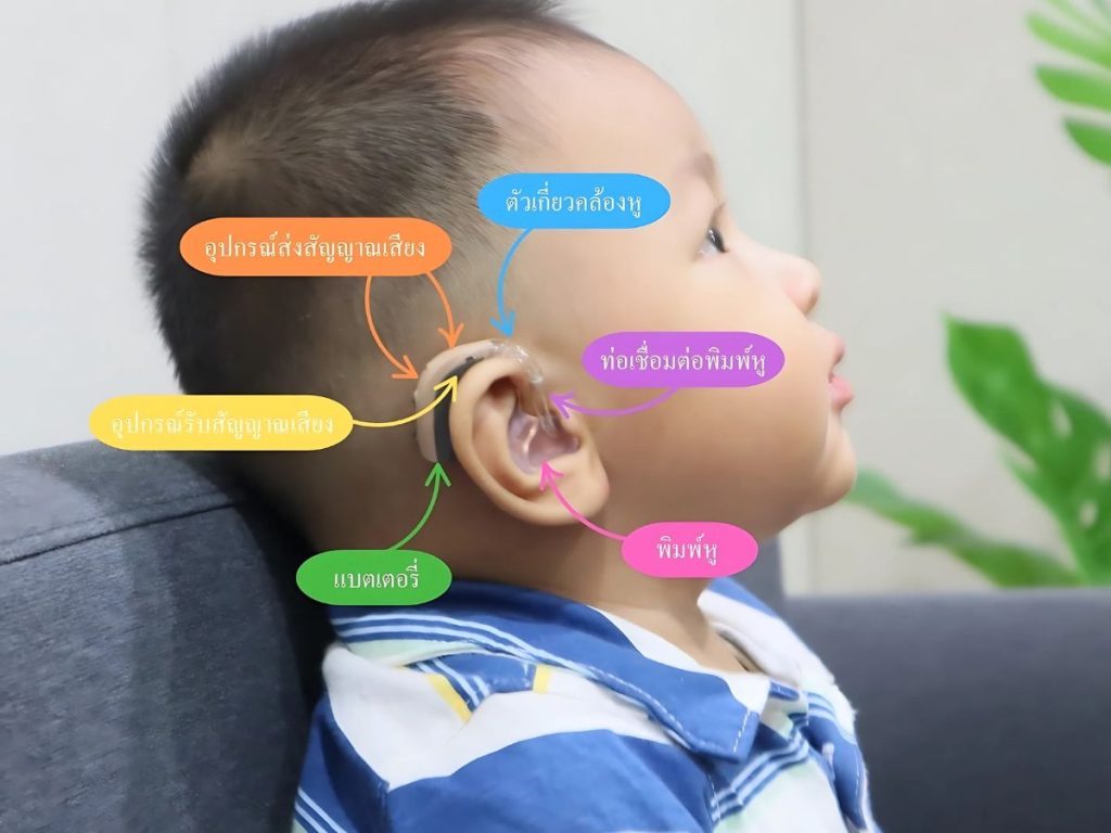 hearing aids